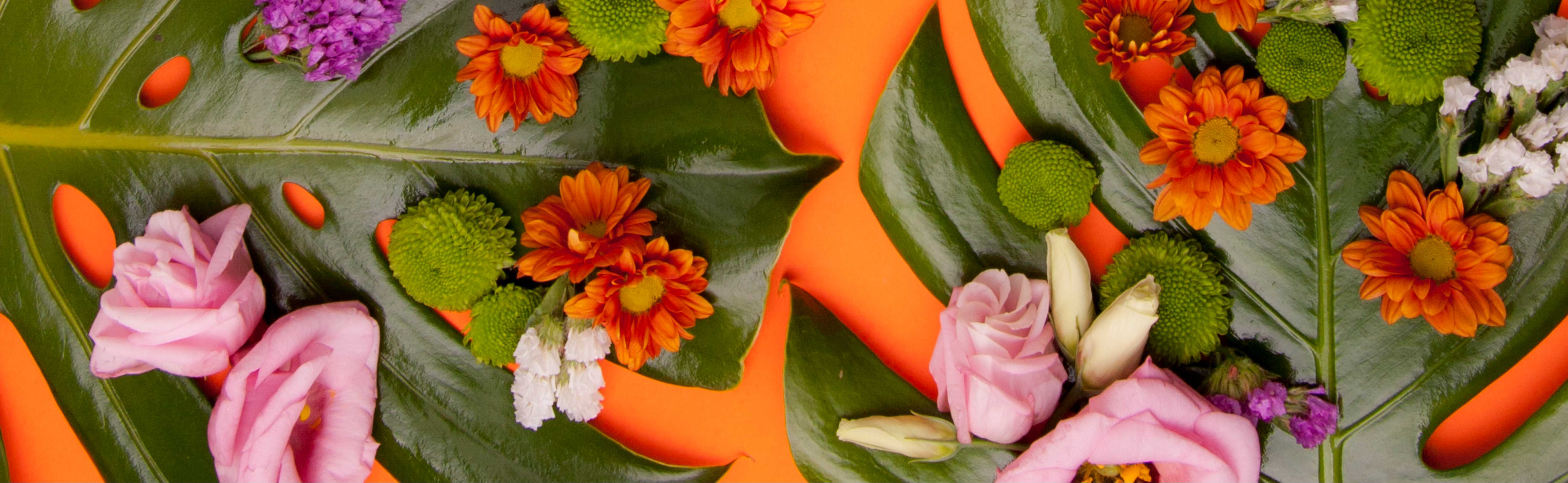 spring-pamper-2025-page.jpg